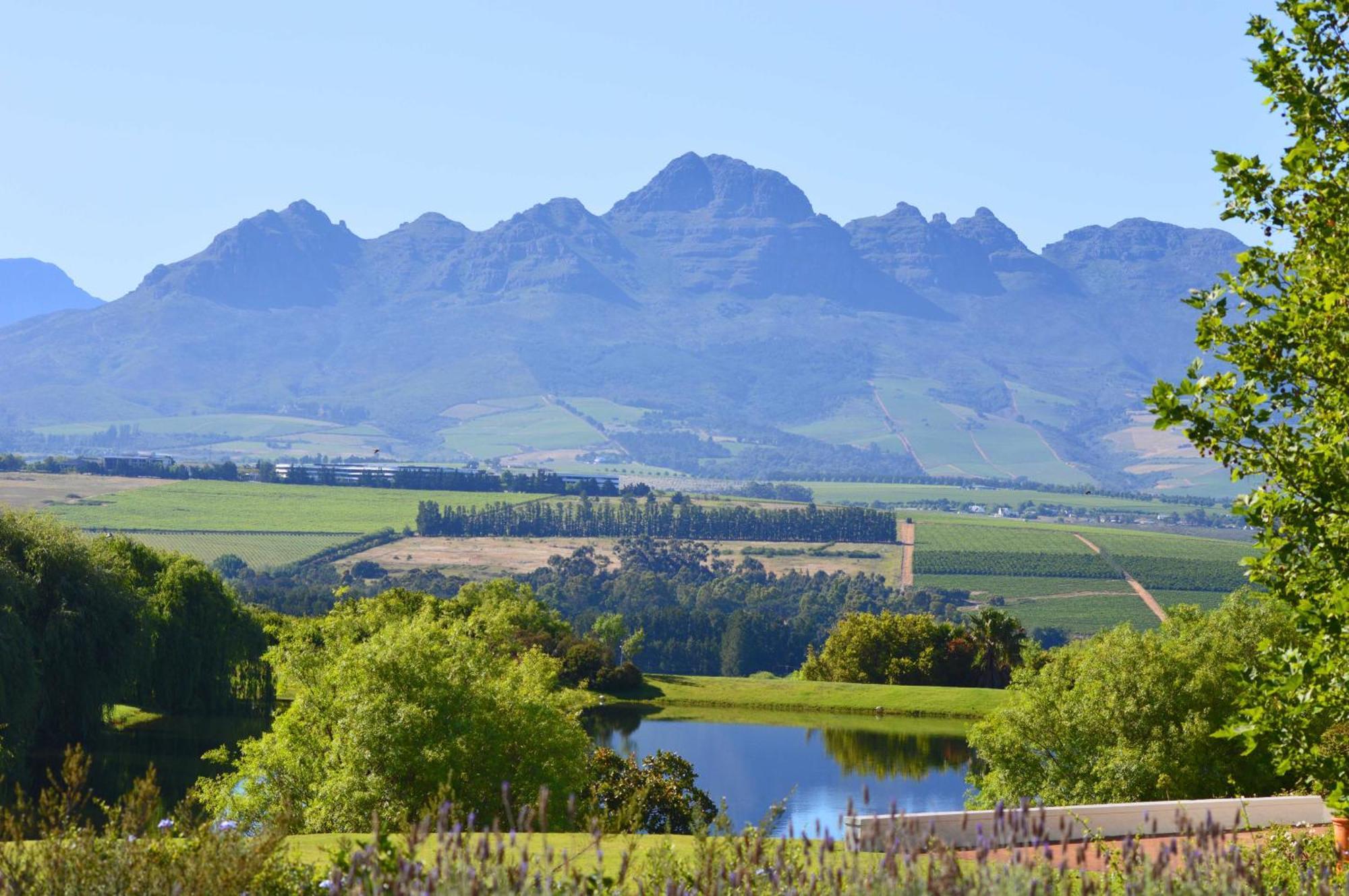 Asara Wine Estate & Hotel Stellenbosch Exterior photo